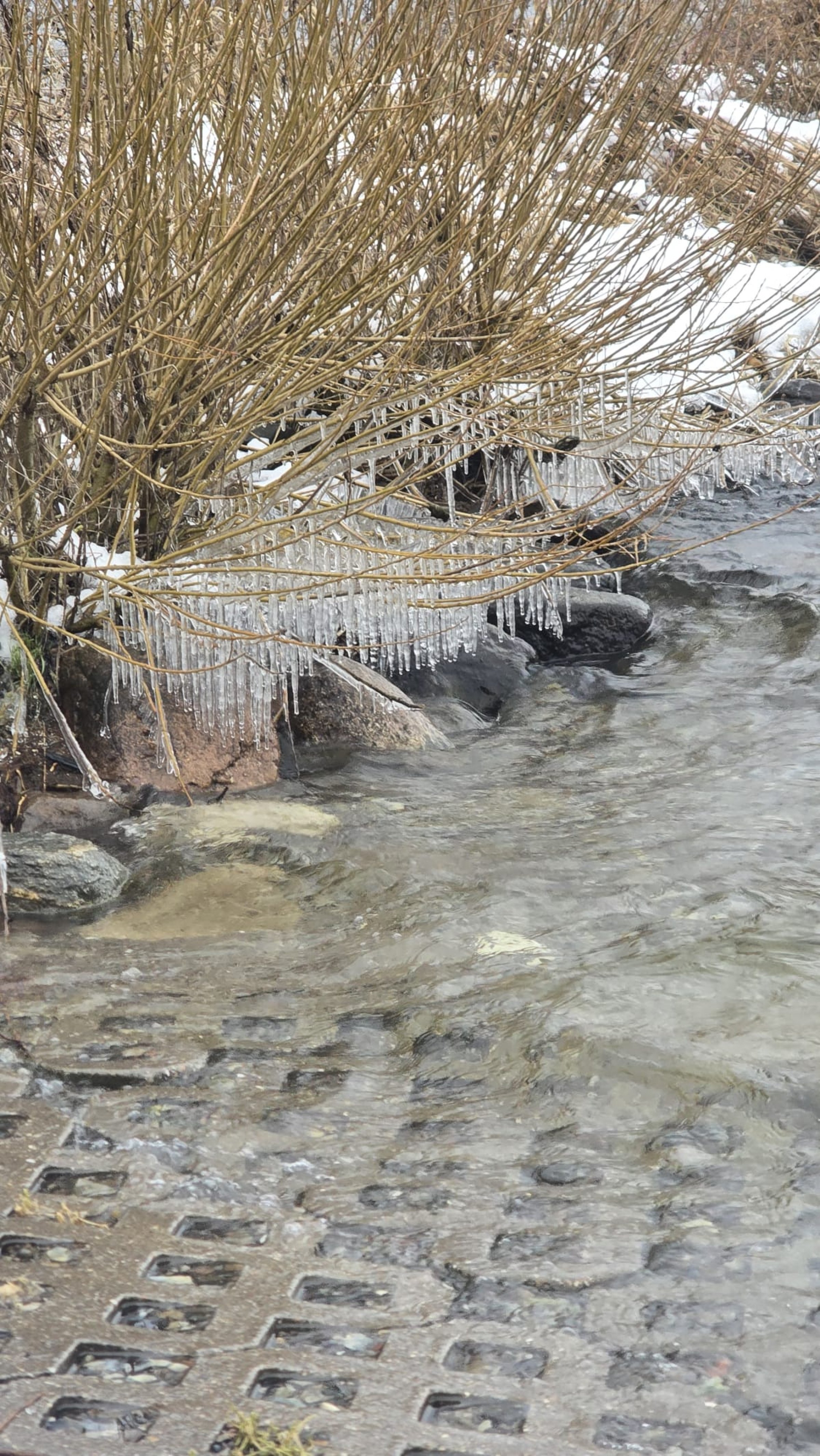 30.01.2026 - Wittensee