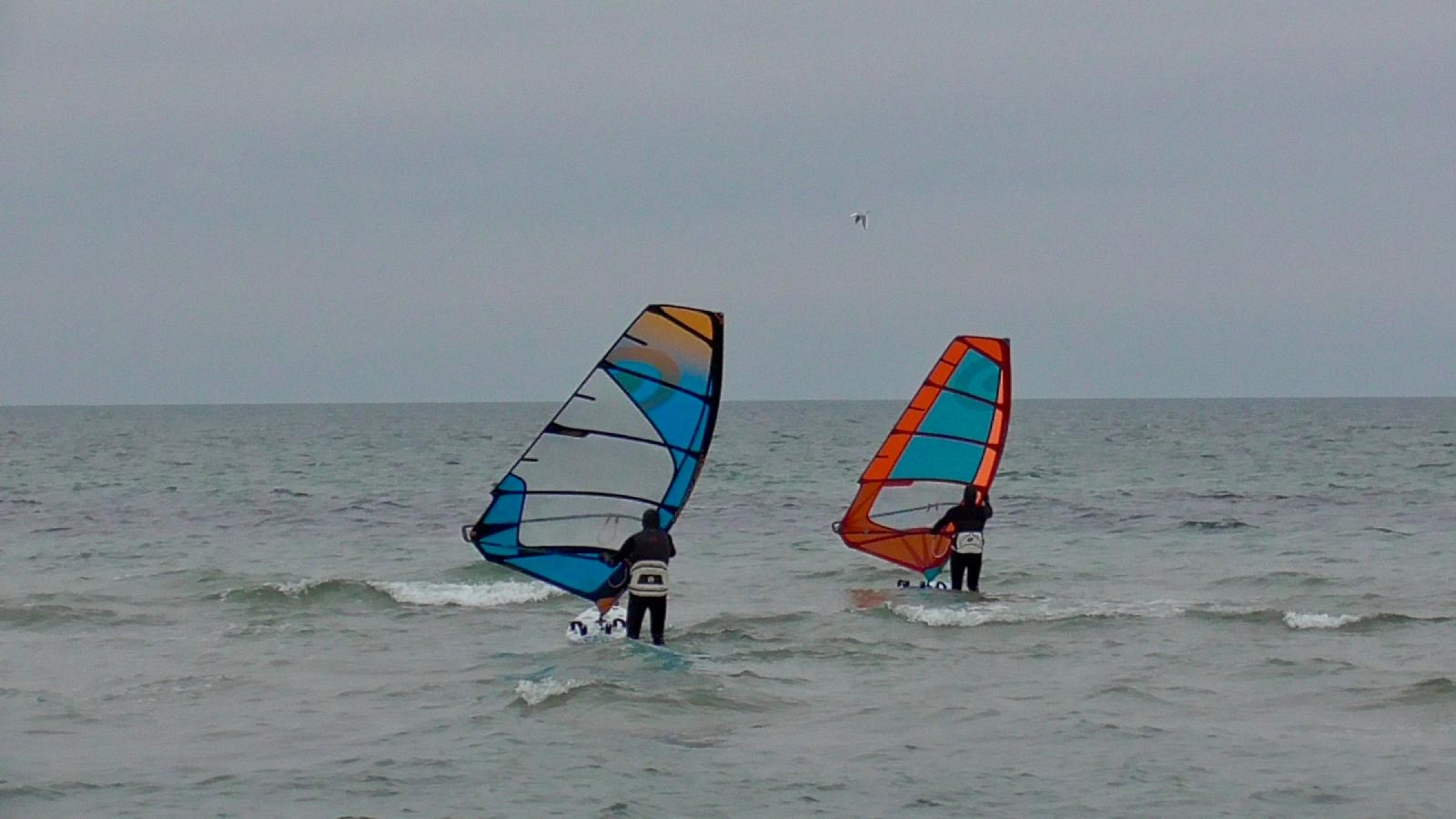 08.02.2026 - Holy harbour 