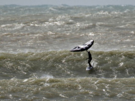 14.02.2026 - Caños de meca / costa de la luz 