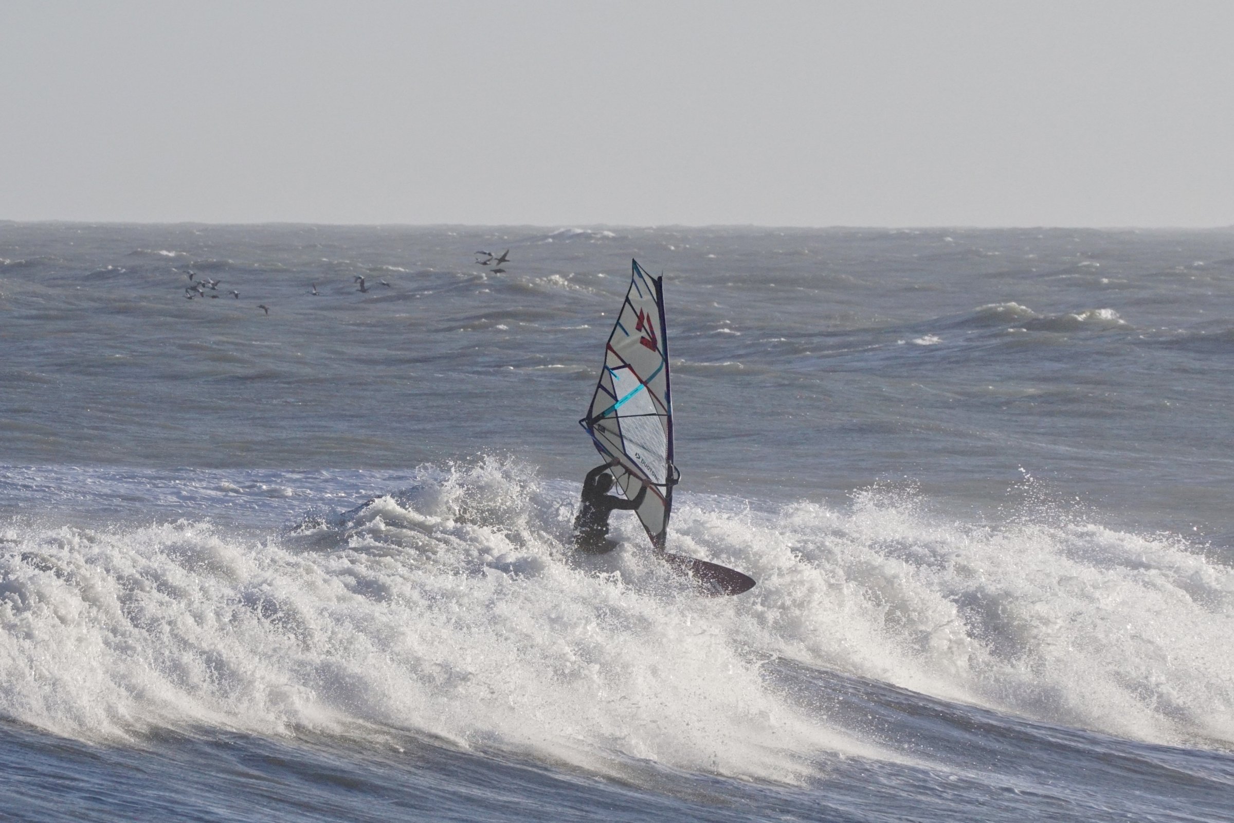 31.03.2026 - Hastholm