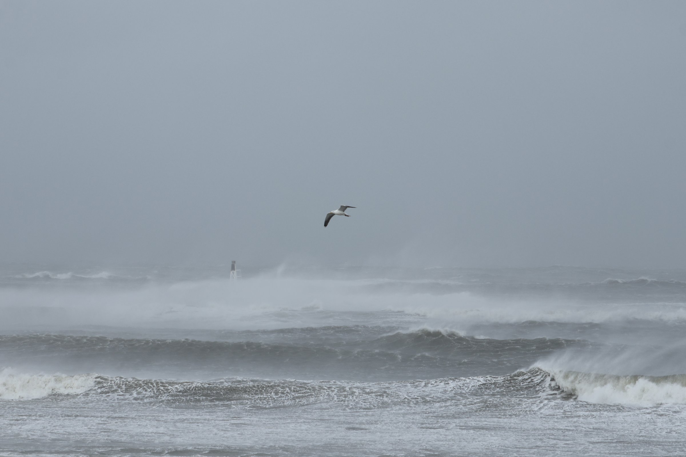 05.04.2026 - Hanstholm