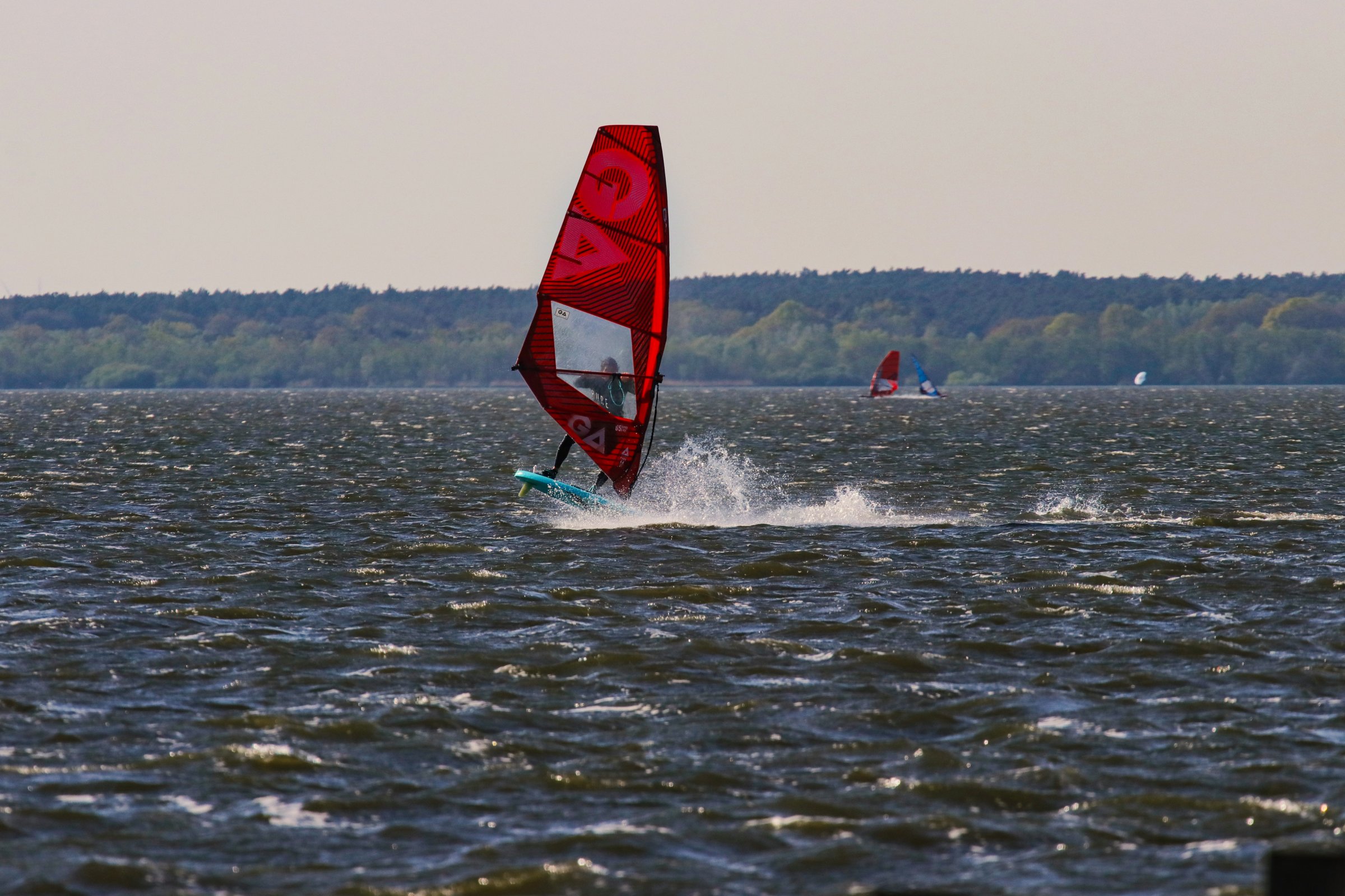 24.04.2026 - Steinhuder Meer