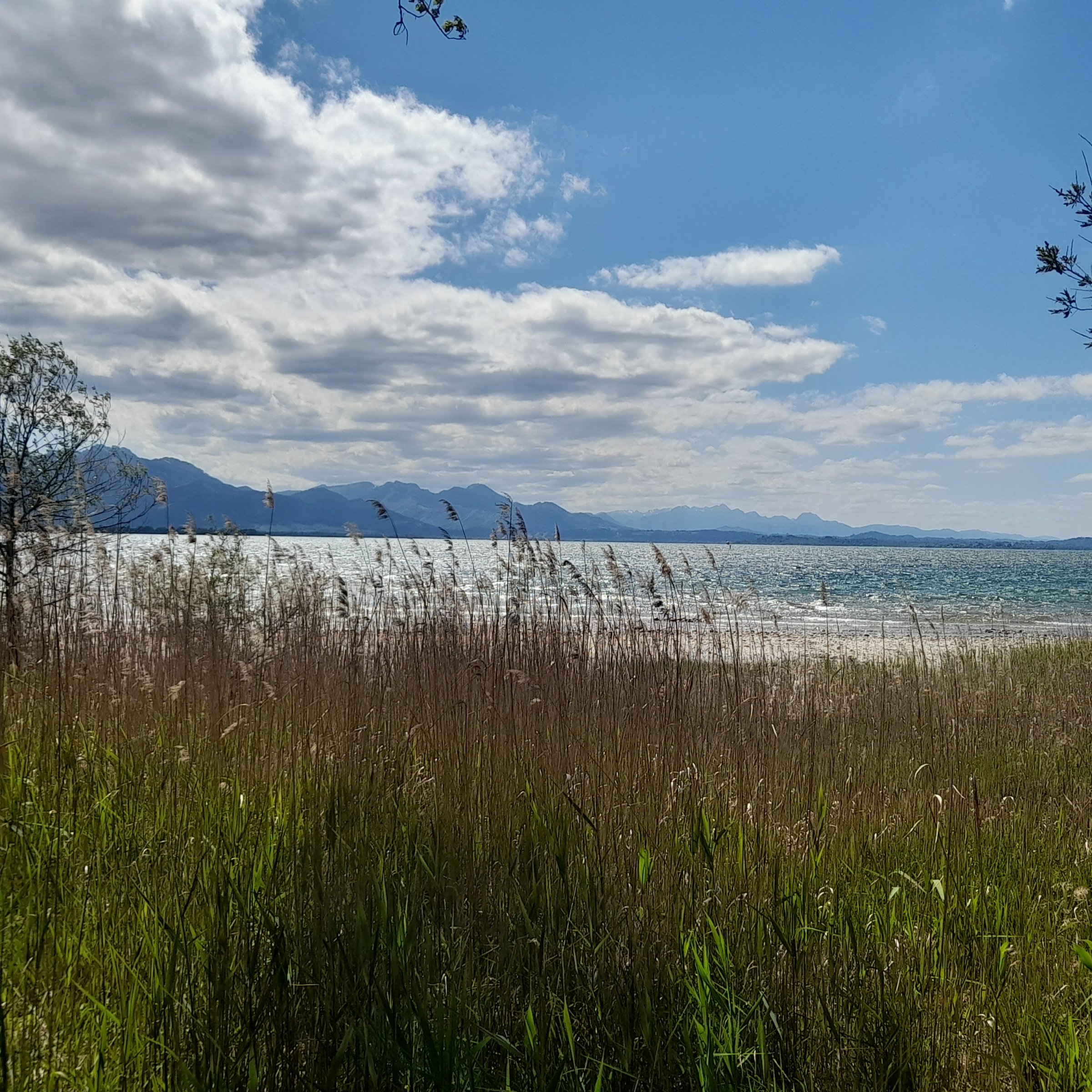 13.05.2026 - Bayrisches Meer
