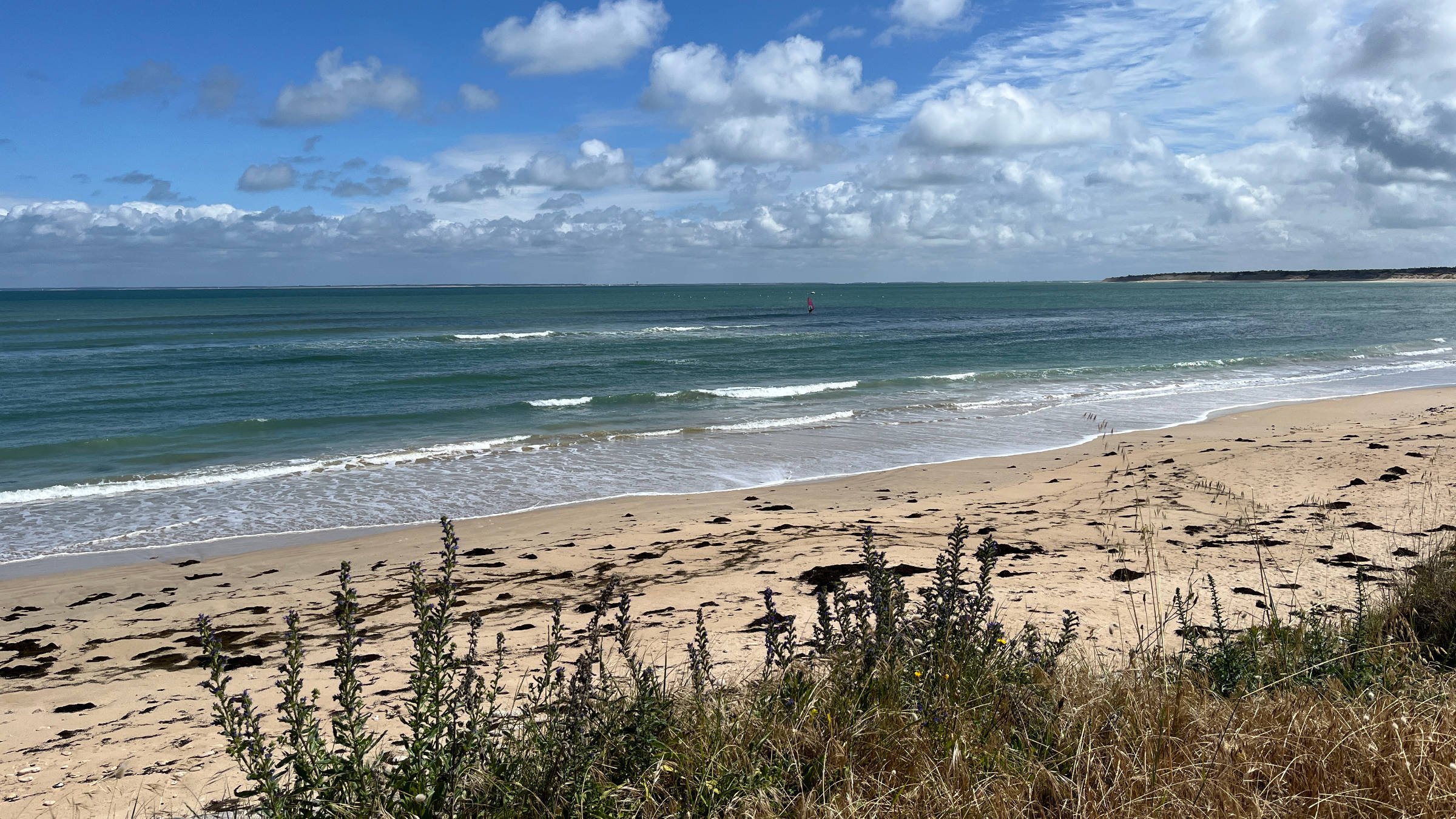 08.06.2026 - Conche des Baleines