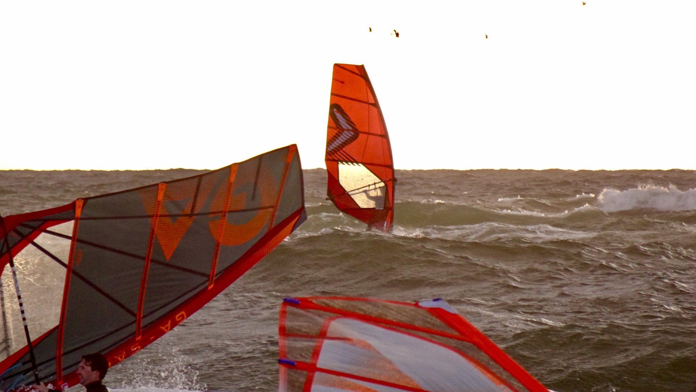 09.09.2026 - Seenot - Sylt