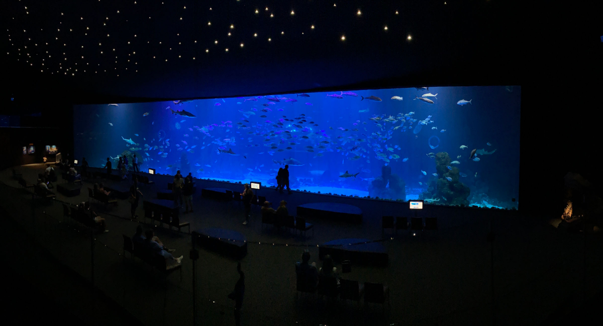 Poema del Mar Aquarium Gran Canaria