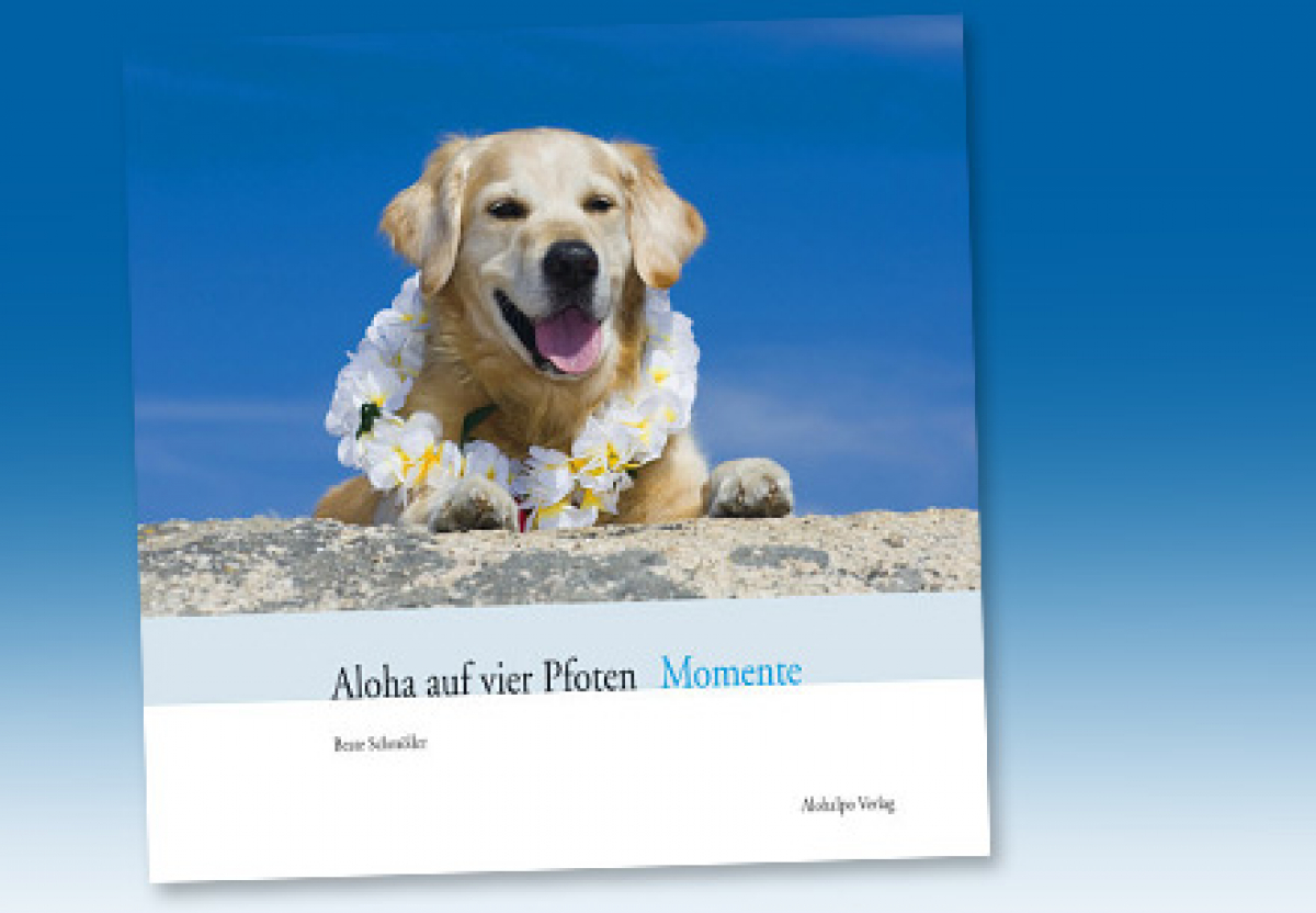 Aloha auf vier Pfoten - Momente