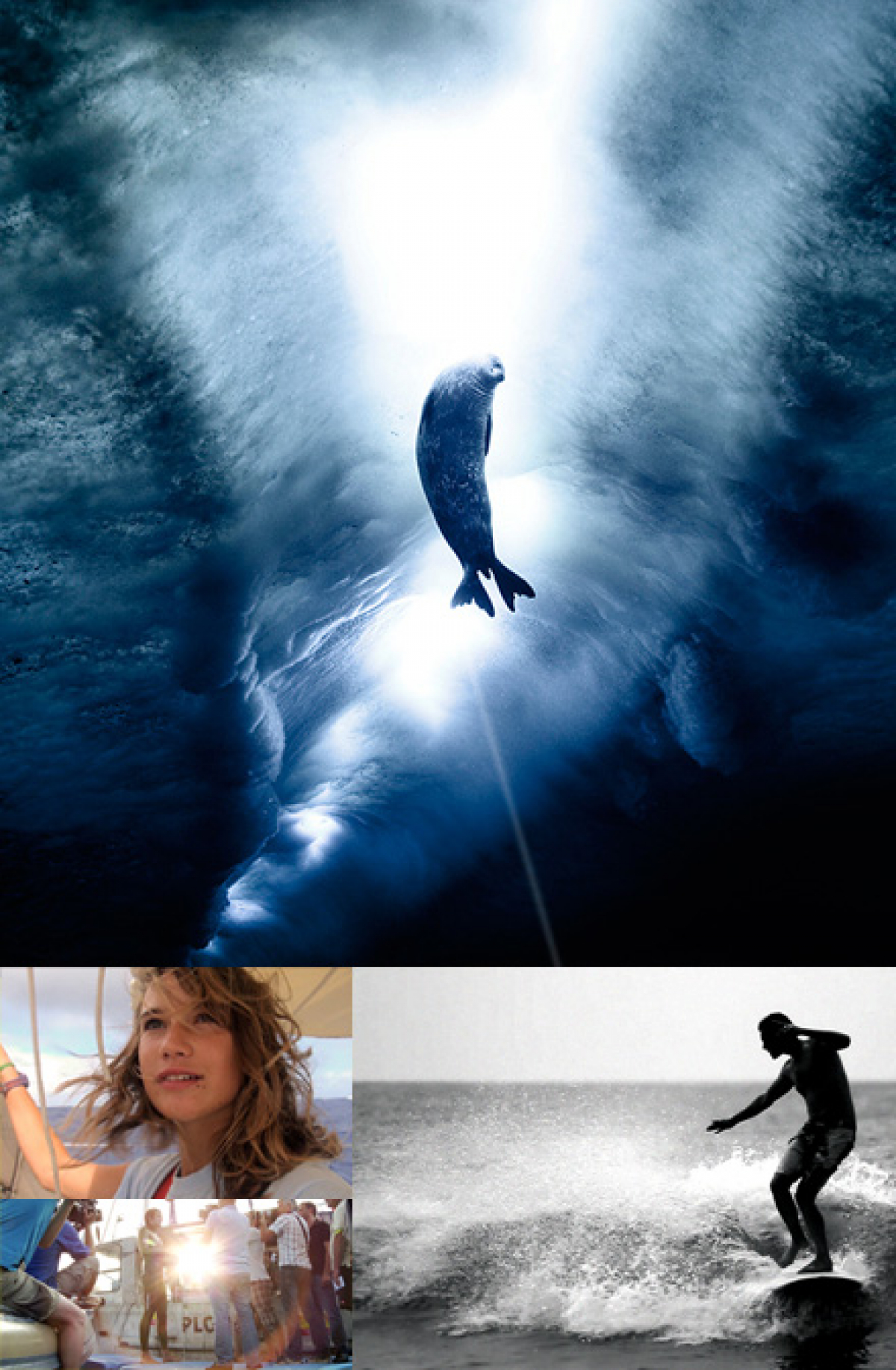 Ocean Film Tour - Kino Programm