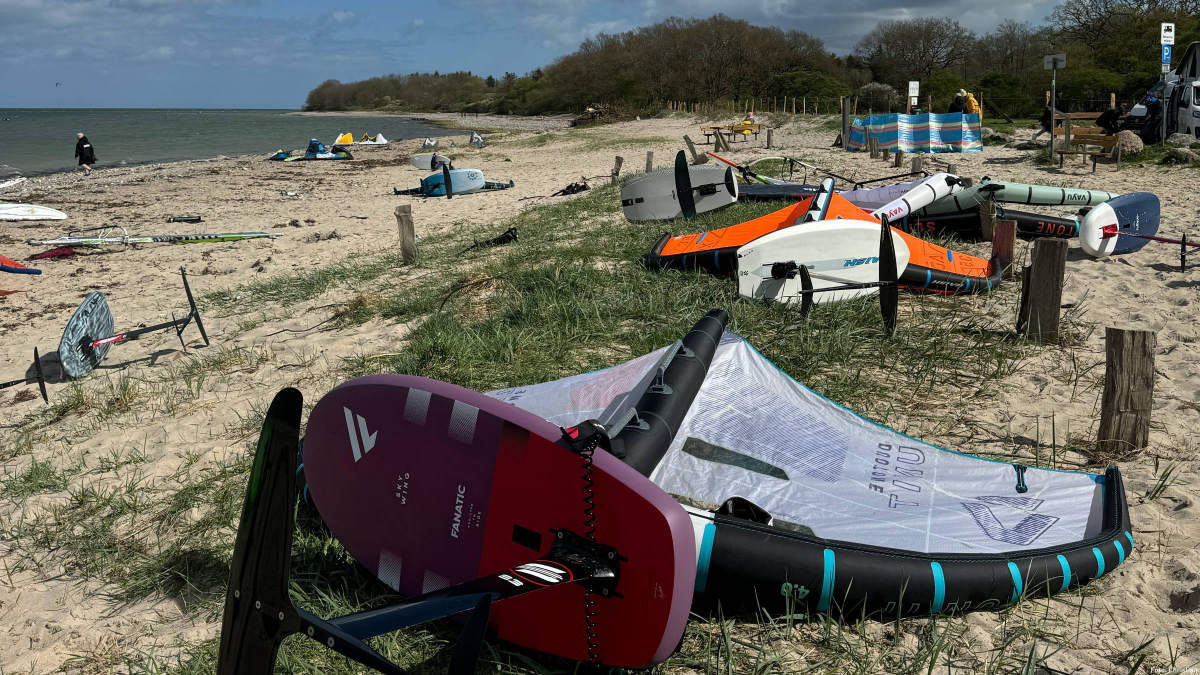 Dünenschutz in Lindhöft: Statusupdate Treibseldüne und Infos für Wassersportler und Strandbesucher