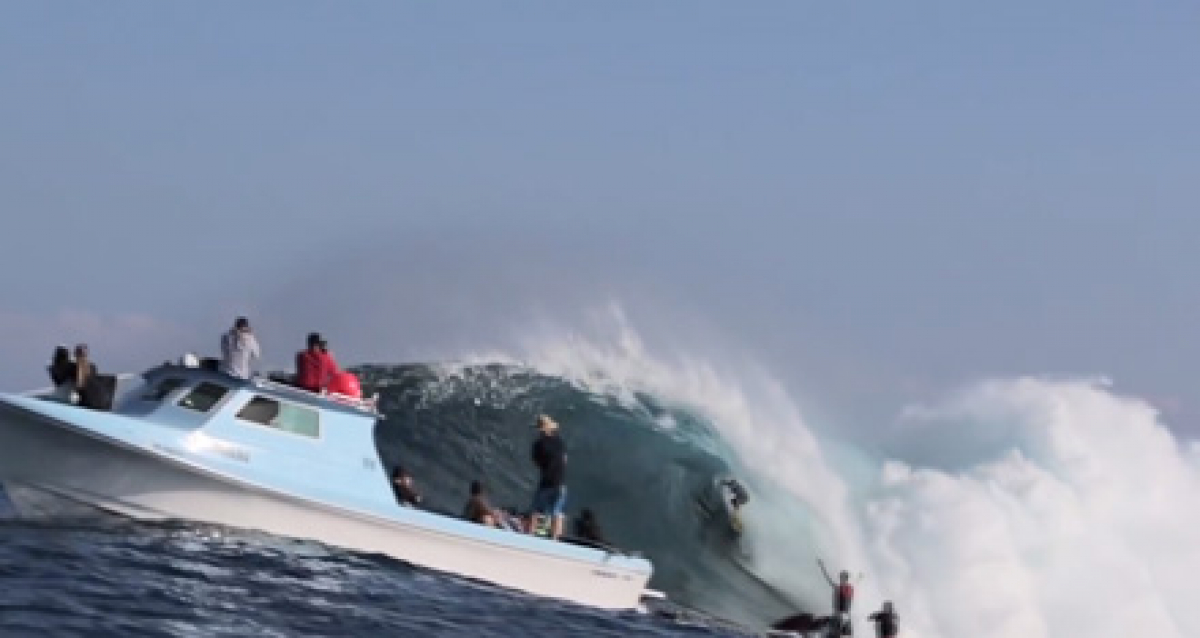 Jaws Action - 2013/2014