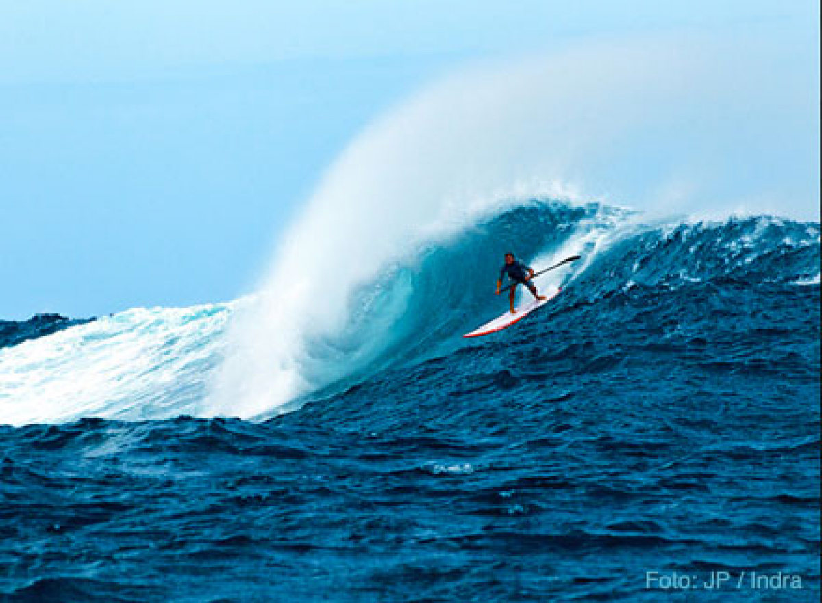 Job: Product Manager - JP Australia / SUP