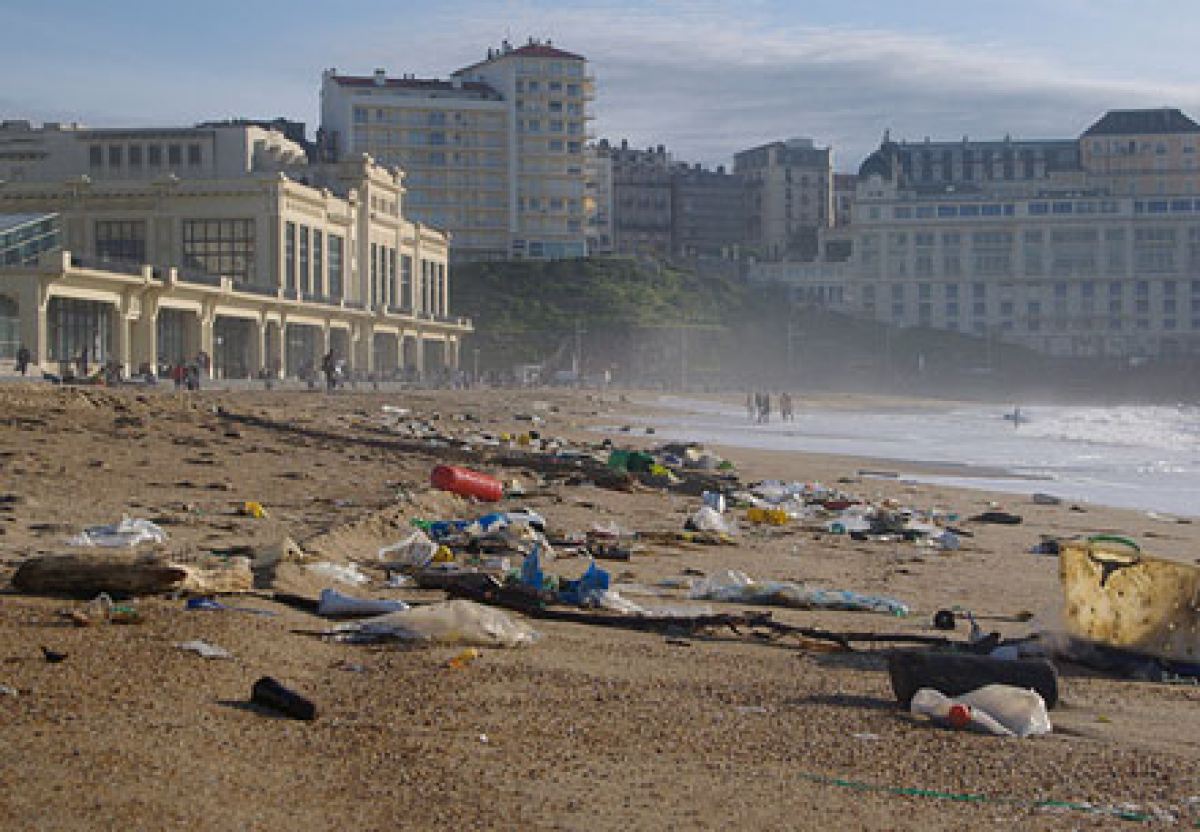 422 Strand Reinigungen - Surfrider Foundation