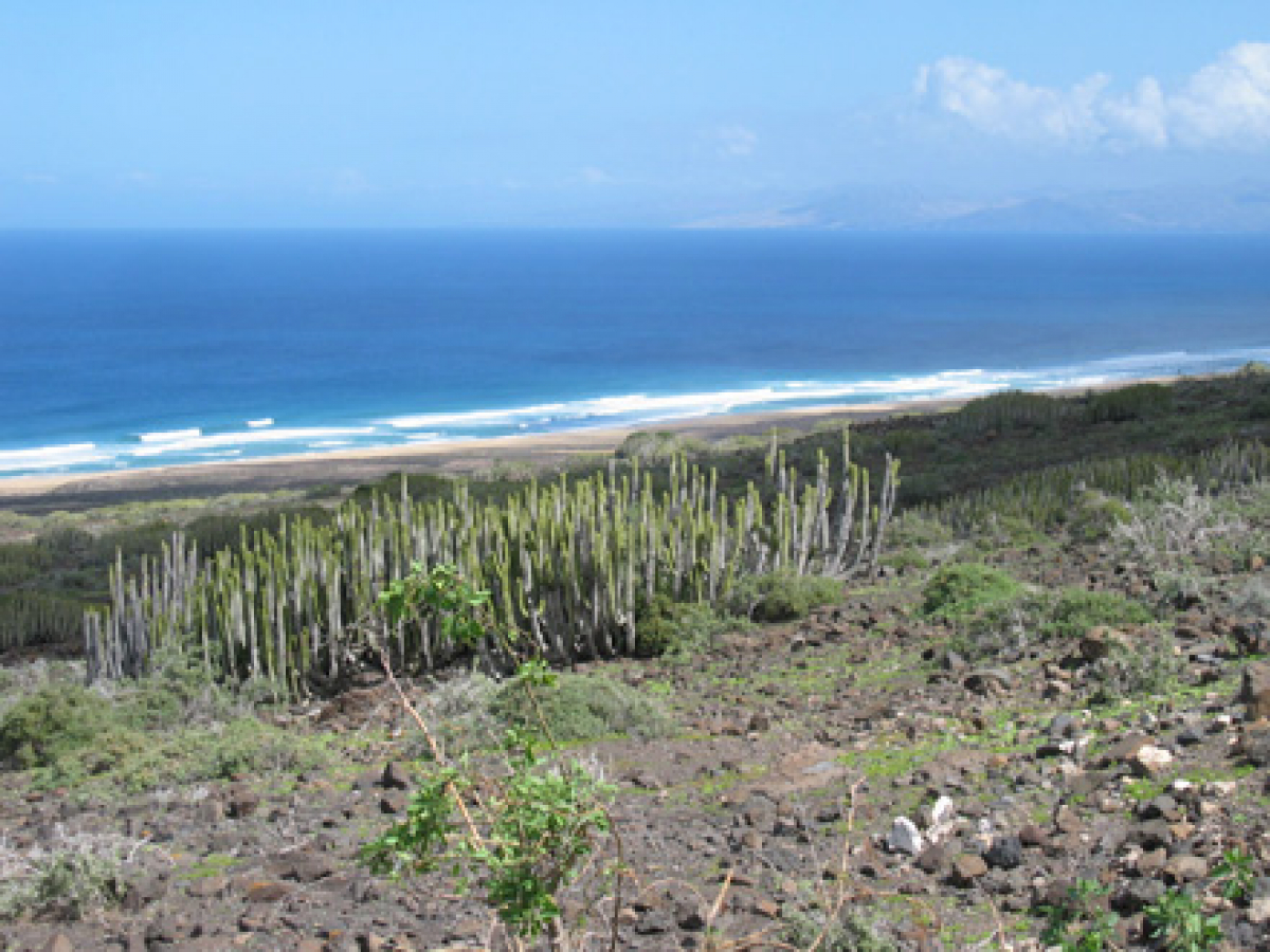 Surfcamp Fuerteventura - Surfguiding