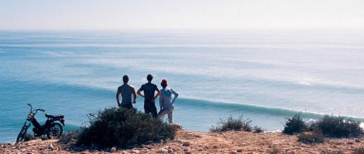 Surfen im Kino - Von Kiel bis Frankfurt