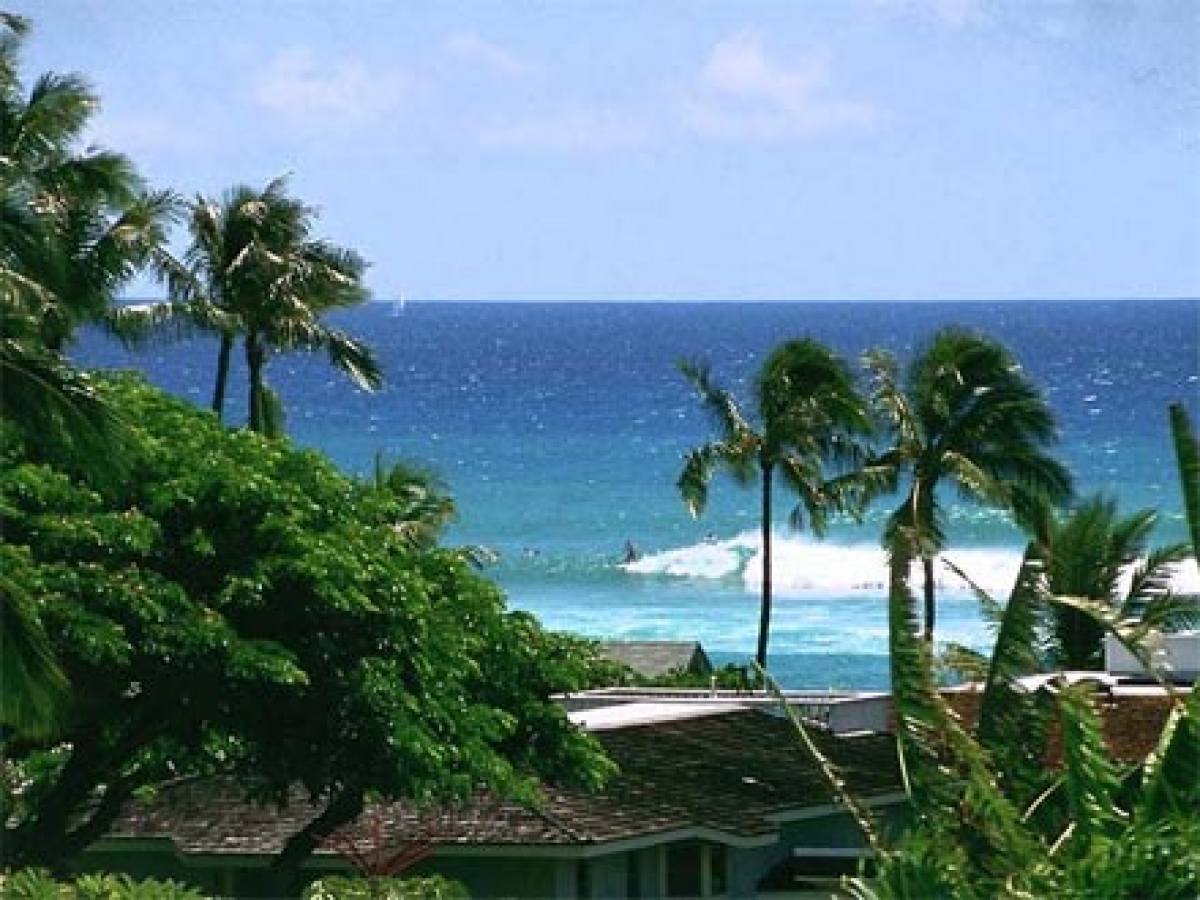 Trip nach Maui - November 2011