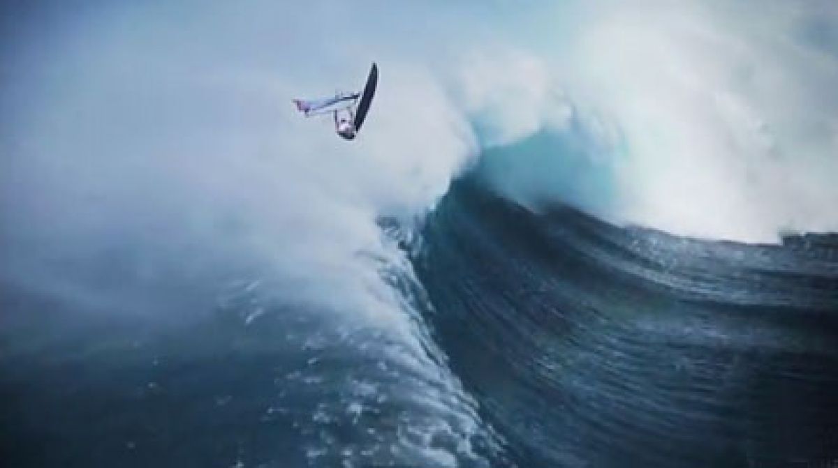 Video Download - Walls of Perception
