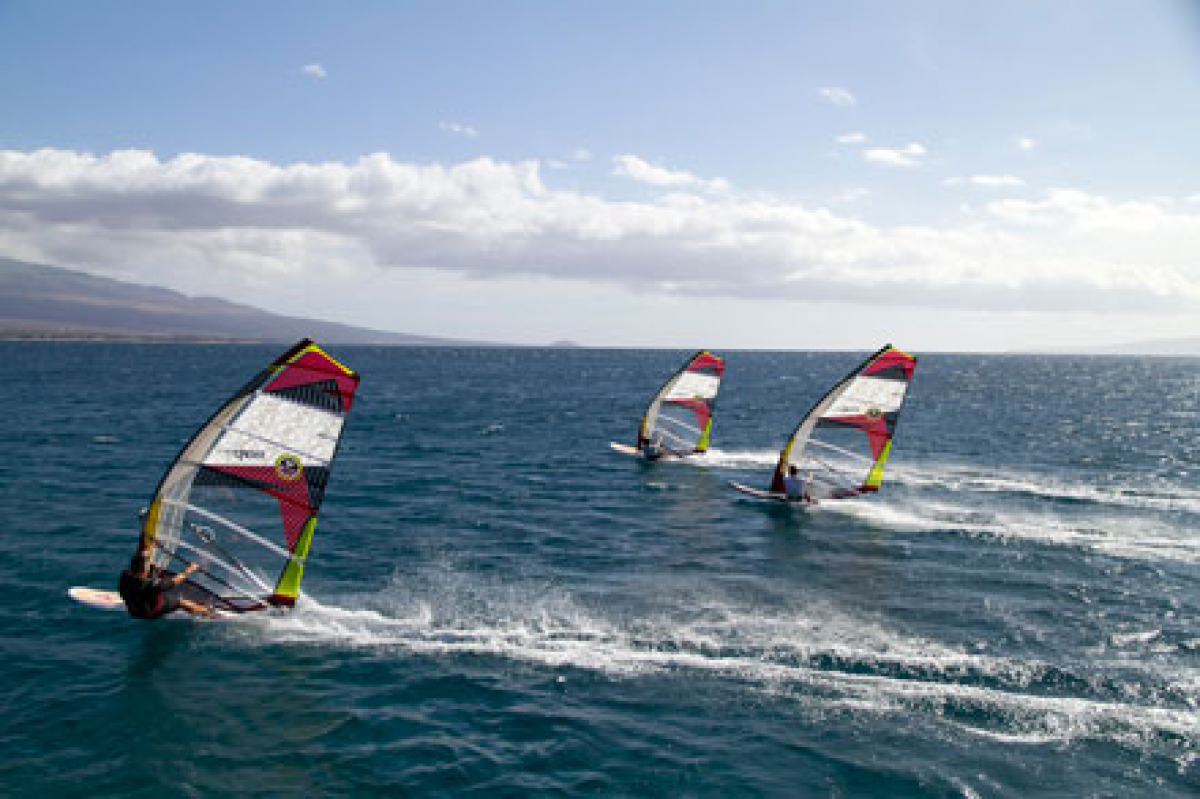 Slalom Profi: warp f2013 - North Sails