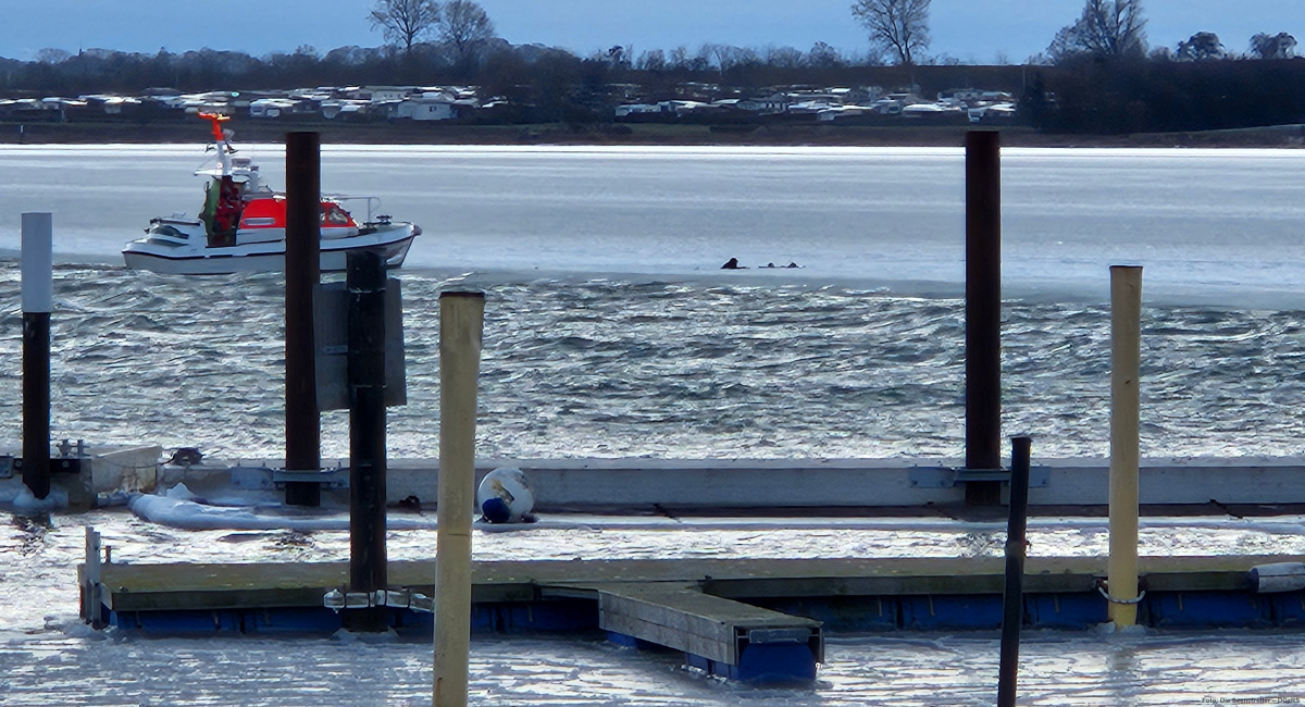So nah war der Kitesurfer am Ufer. Aus eigener Kraft hätte er es laut den Seenotrettern nicht mehr erreicht.