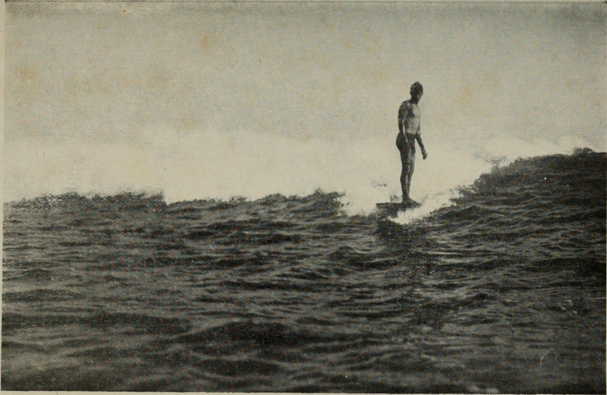 Surfing History 2