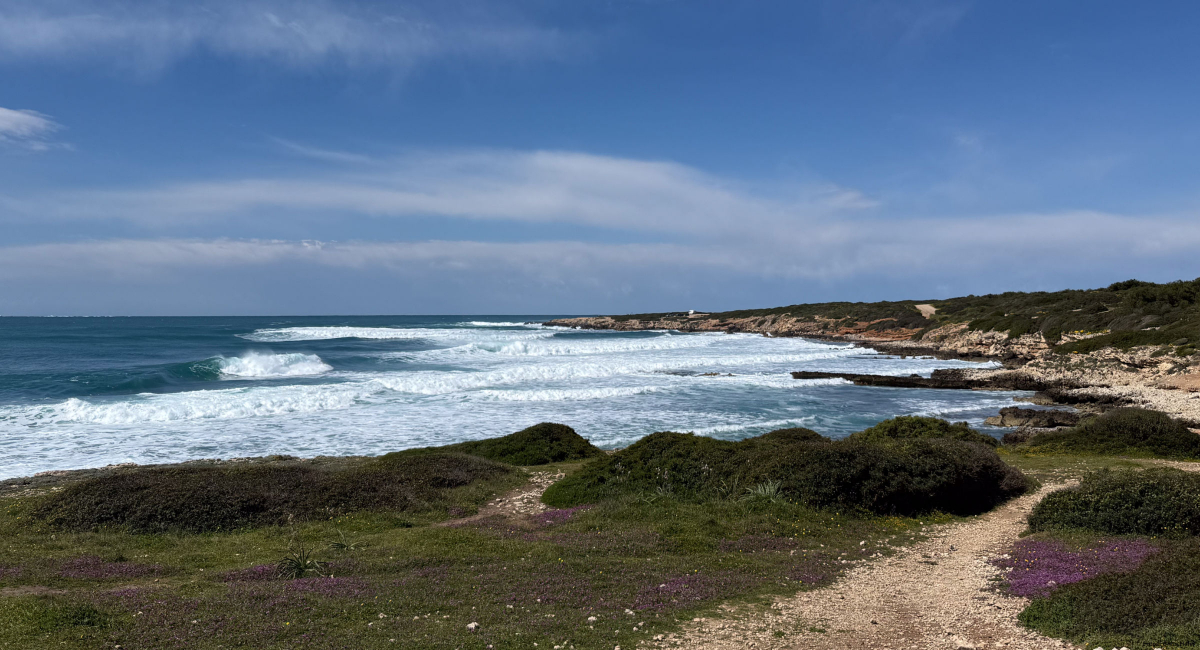Windsurfing vacation in Sardinia