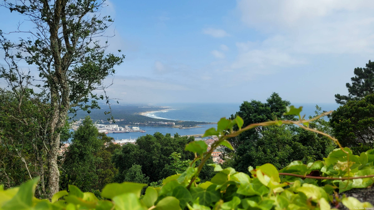 Blick von Viana do Castelo auf den Spot auf der Südseite des Lima