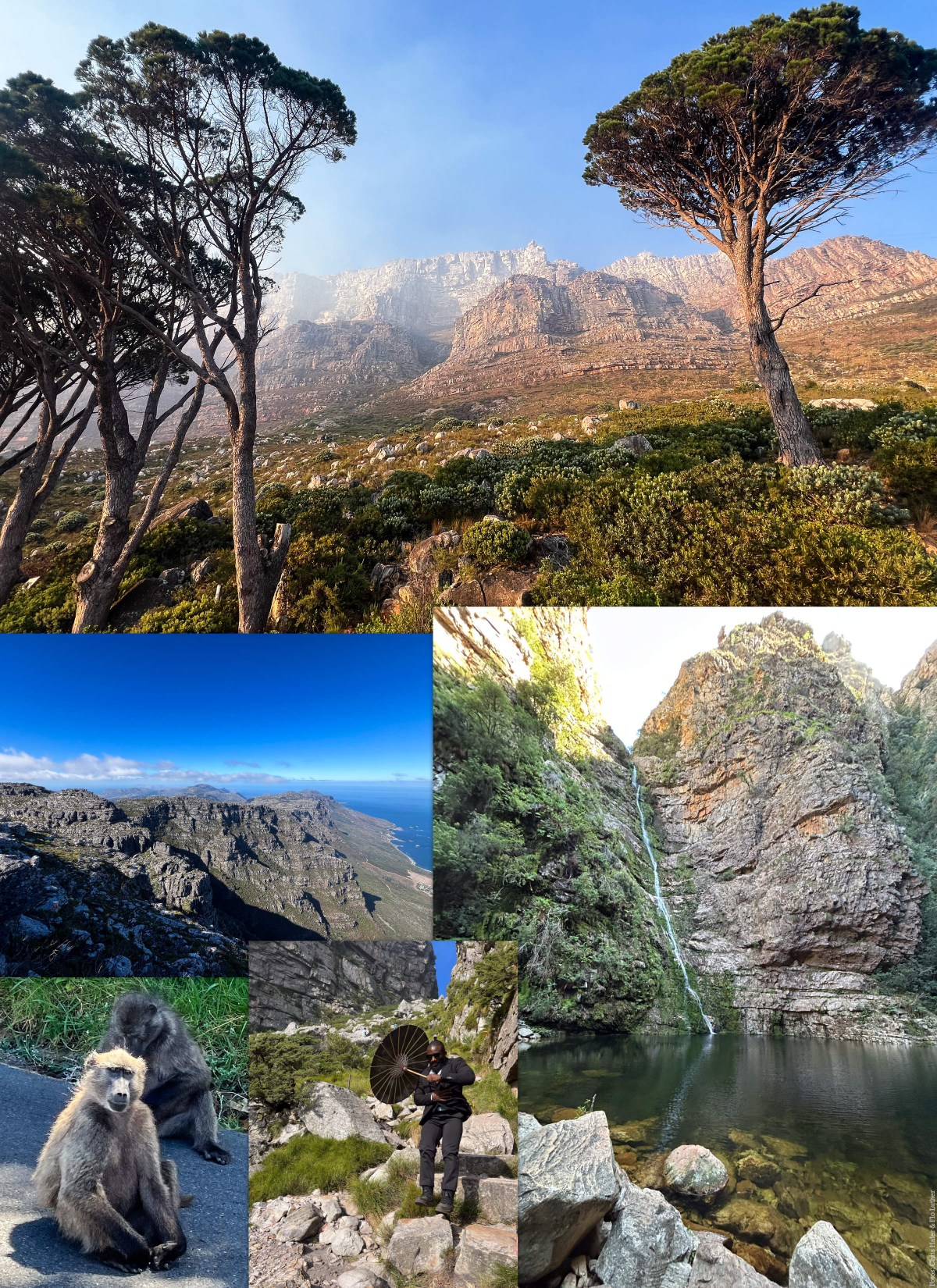Südafrika fasziniert auch durch die Natur.