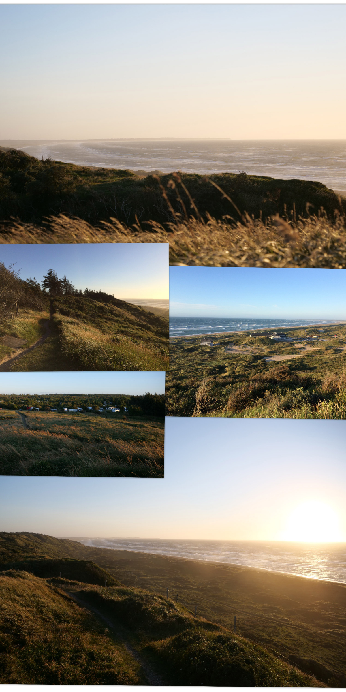 Die Aussicht von den Dünen beim Svinkløv Camping