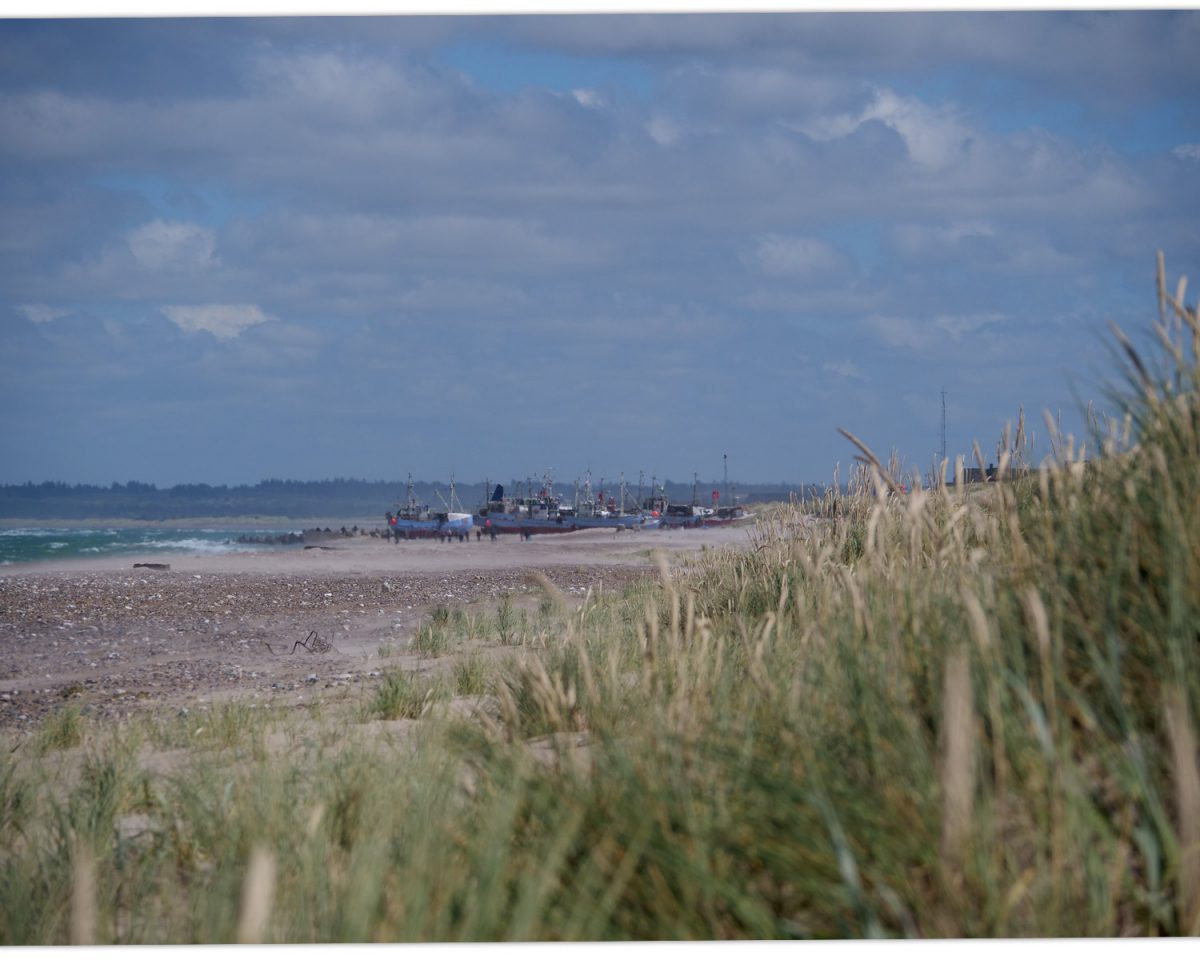 Blick nach Osten auf Thorupstrand