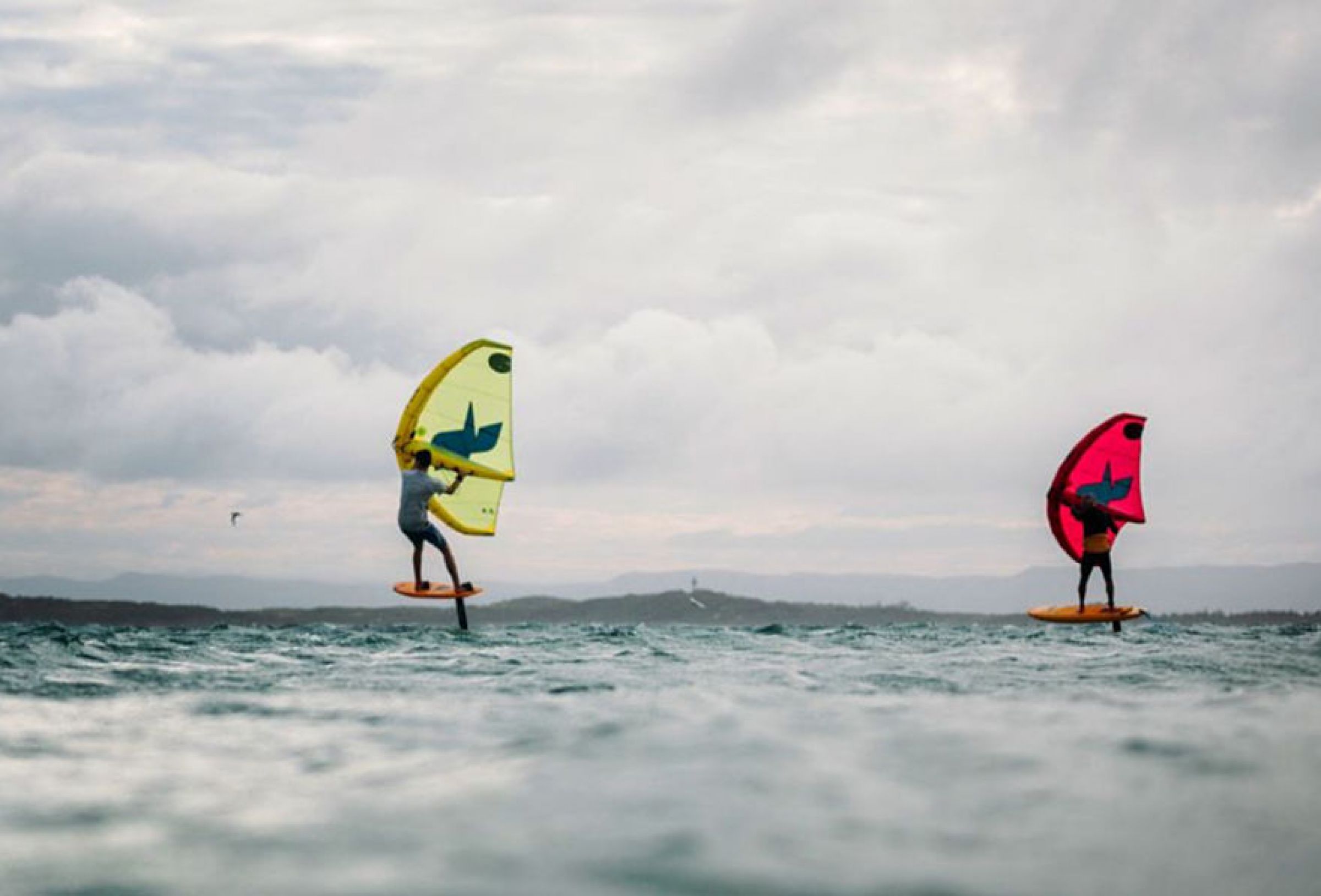 Swing Wing FOne dailydose.de