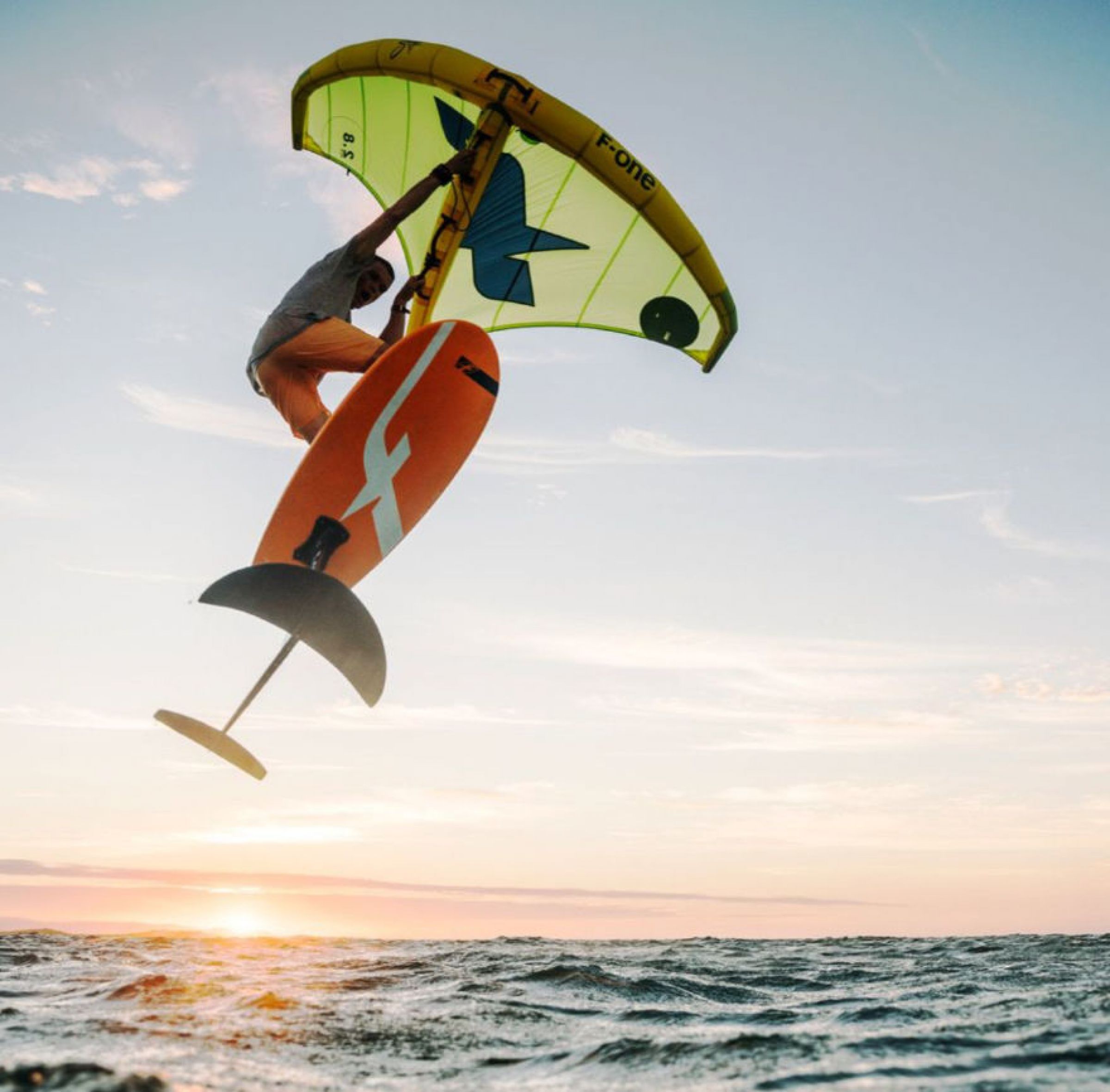 Swing Wing FOne dailydose.de