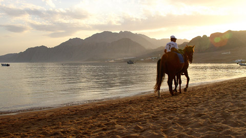 Dahab