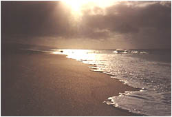 Northshore Oahu ...April '99