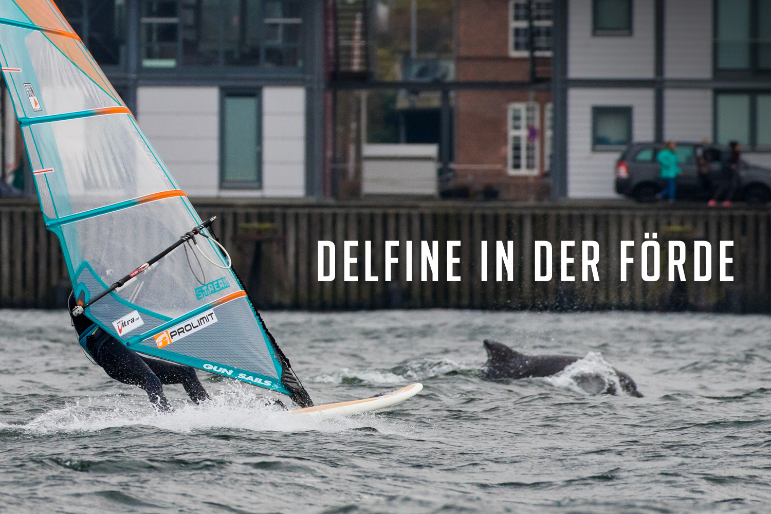 Delfine in der Frde
