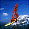 windsurfing...