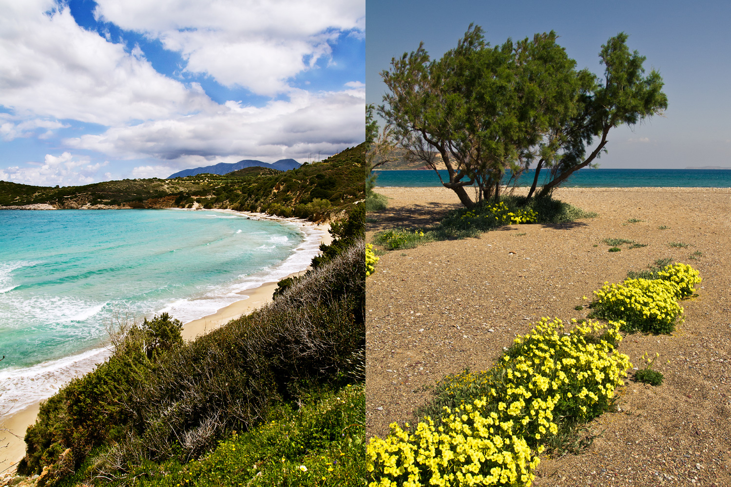 Kreta