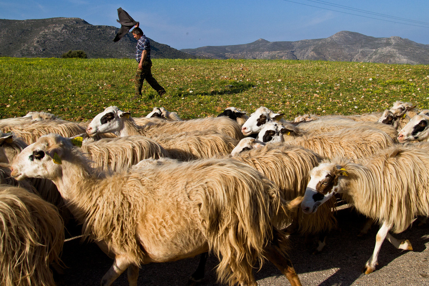 Kreta