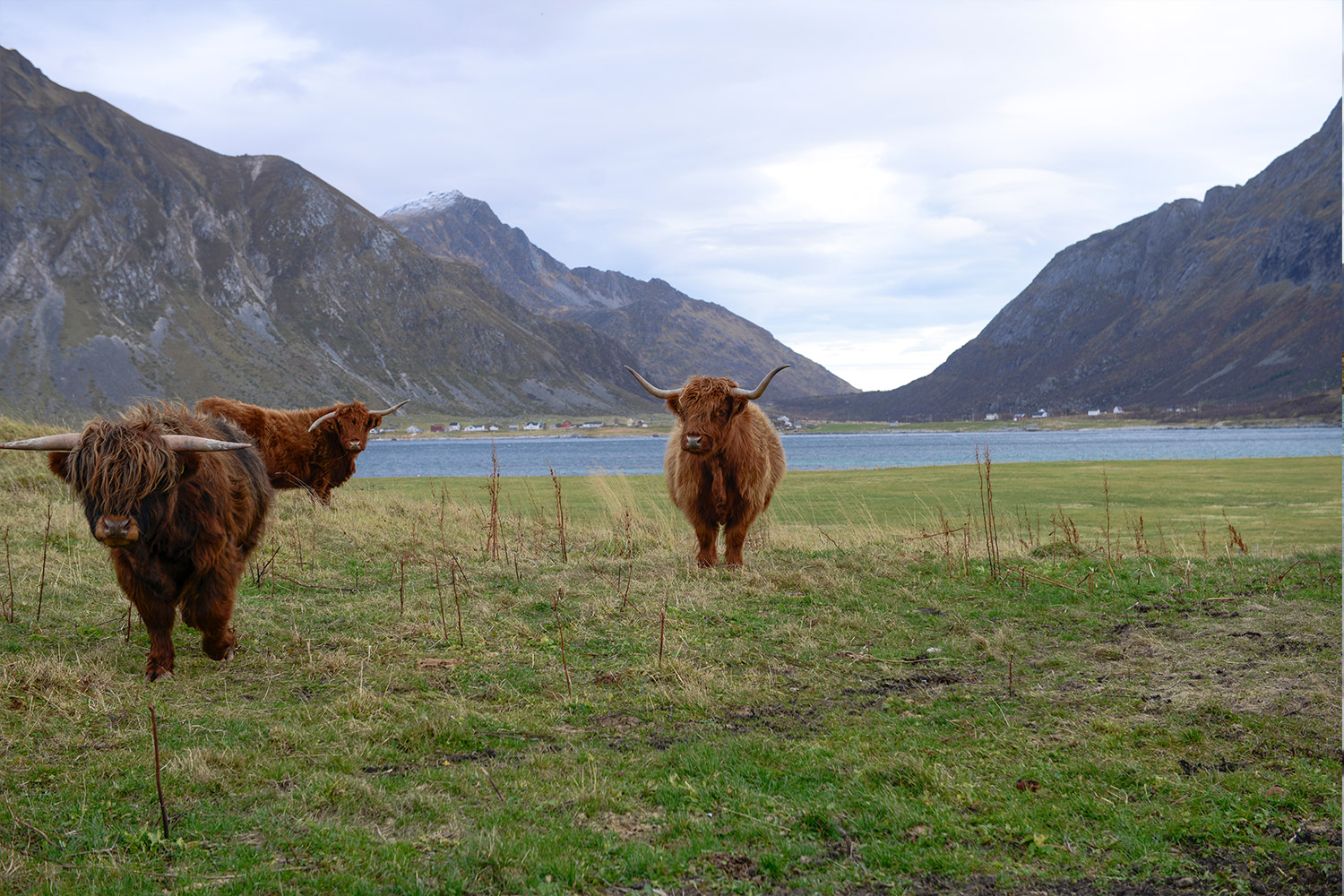 Lofoten