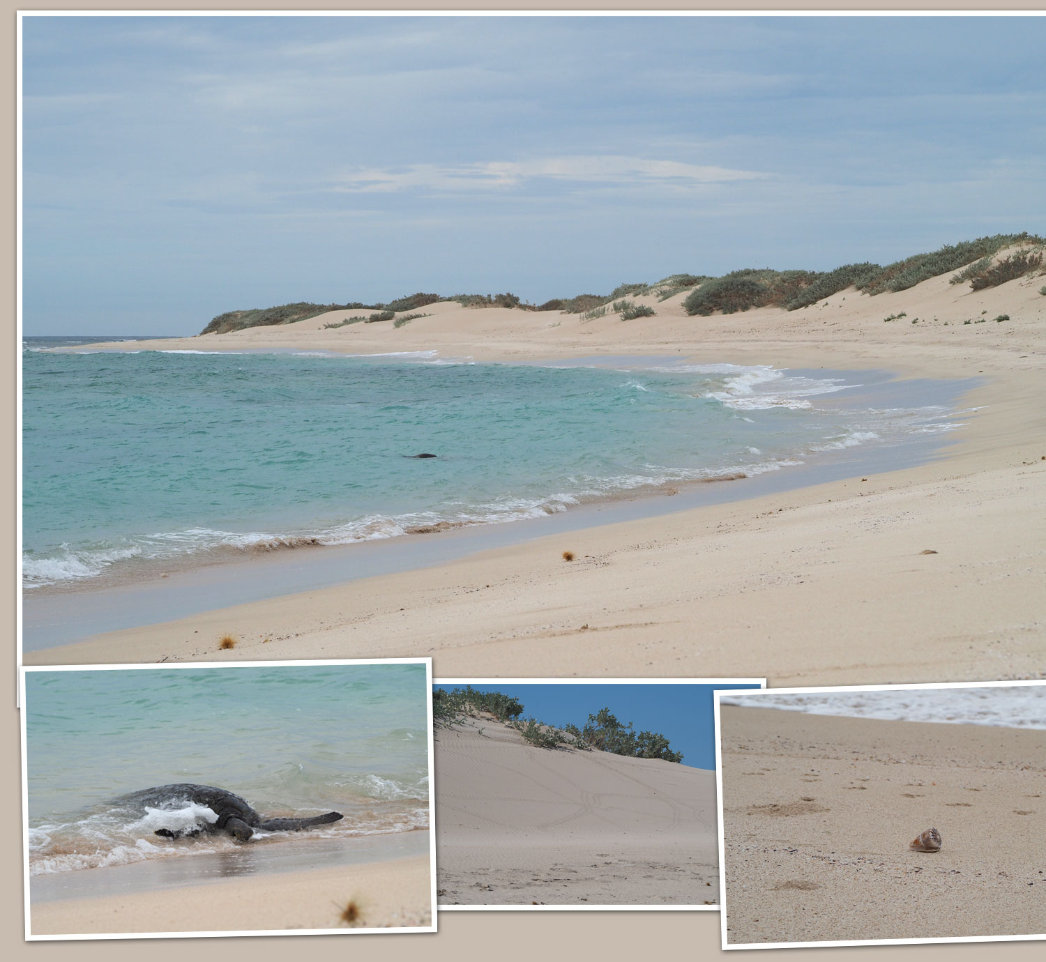 Windstruck in a Land Down Under - Teil 1 / Ningaloo