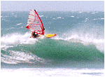Wavesailing ...Tims tägliche Session