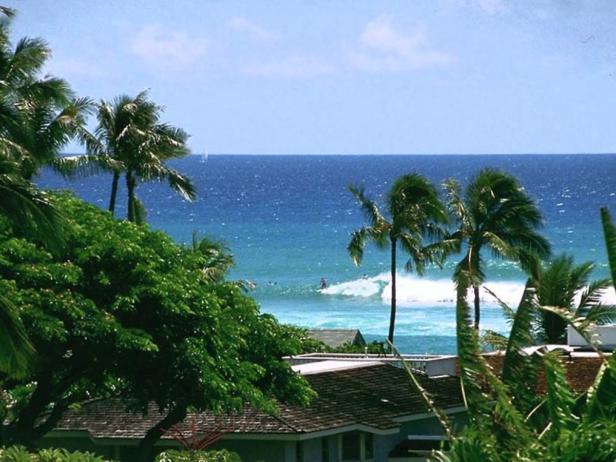 Leben und Wellenreiten an einem Traumstrand - Diamond Head/Oahu