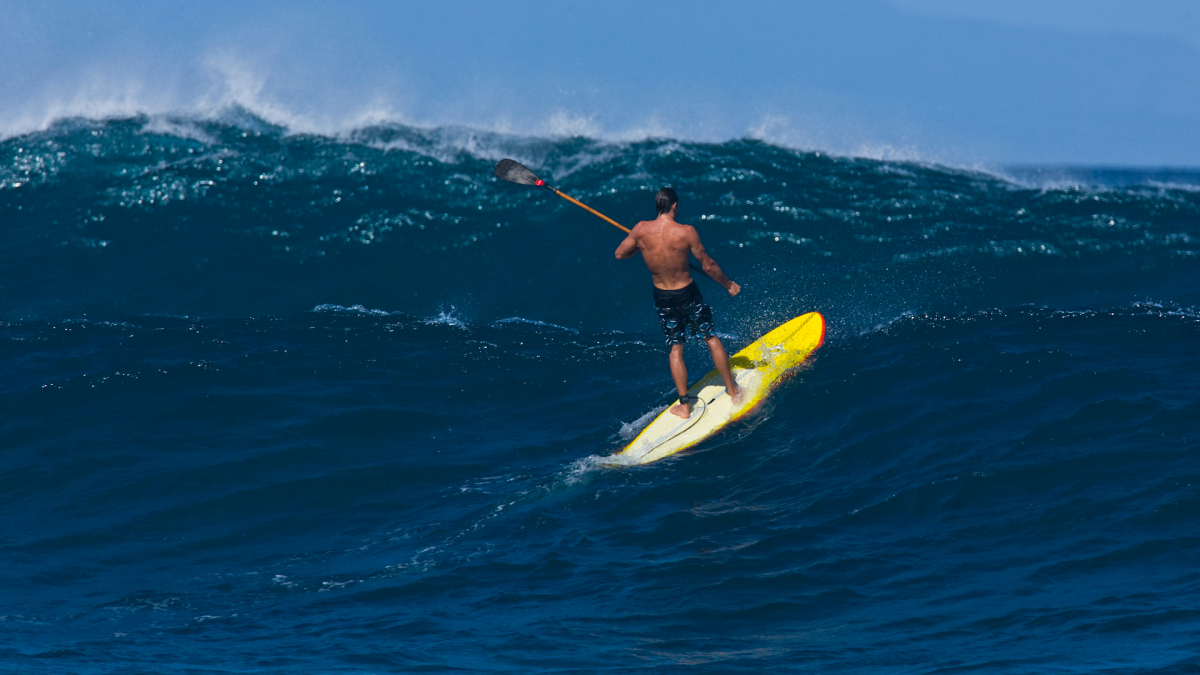 Stand up Paddling - Jason Polakow